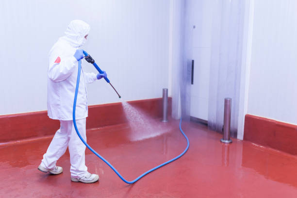 Reliable West Pittston, PA Pressure Washing Services Solutions